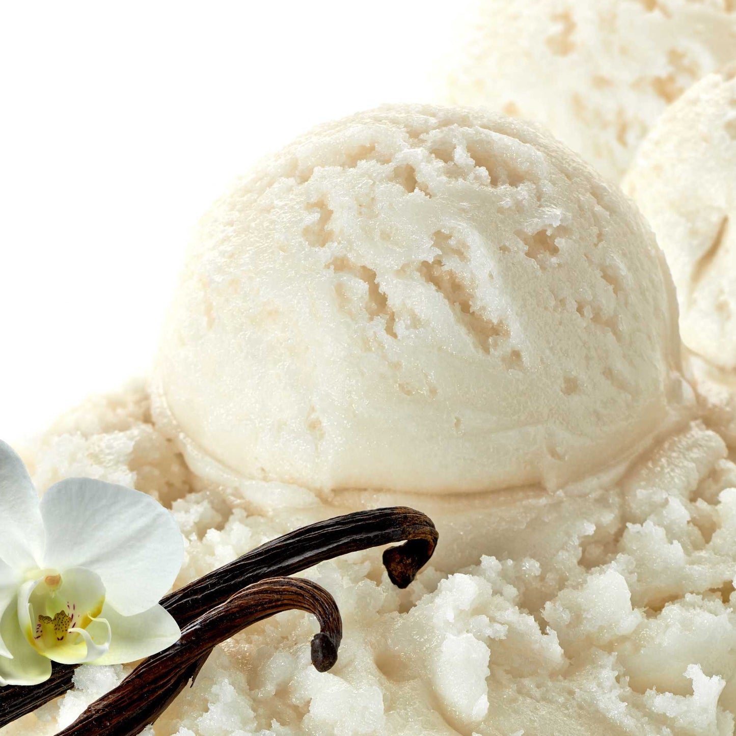 Signature Flavors | 4 fluid ounces, all-natural, Puriva Nutrition