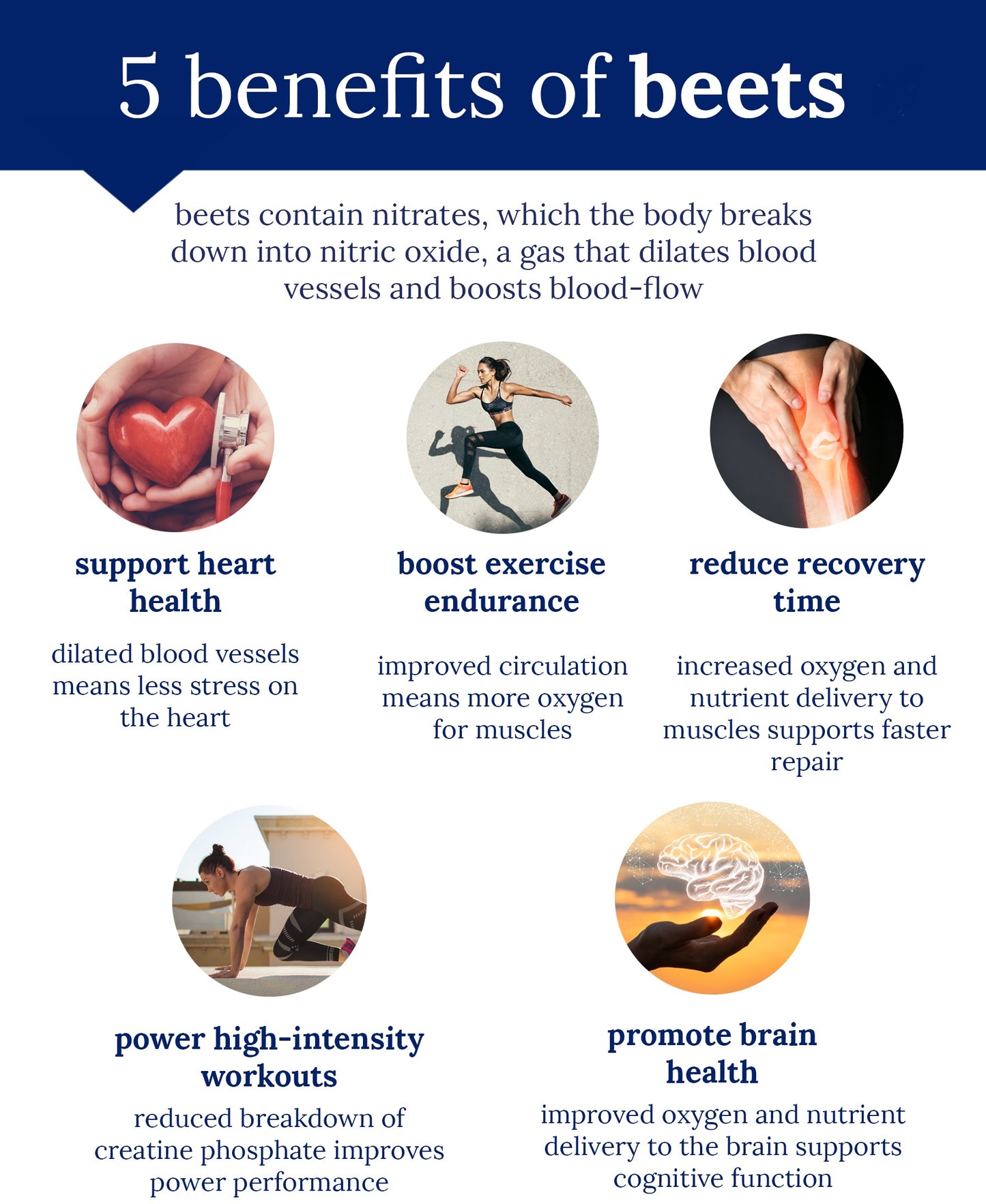 Beetroot powder, 1 pound, Puriva Nutrition